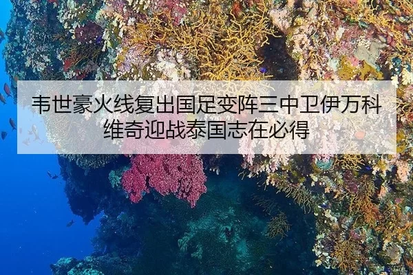 韦世豪火线复出国足变阵三中卫伊万科维奇迎战泰国志在必得